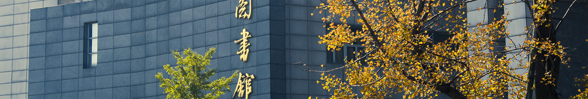 美女直播banner