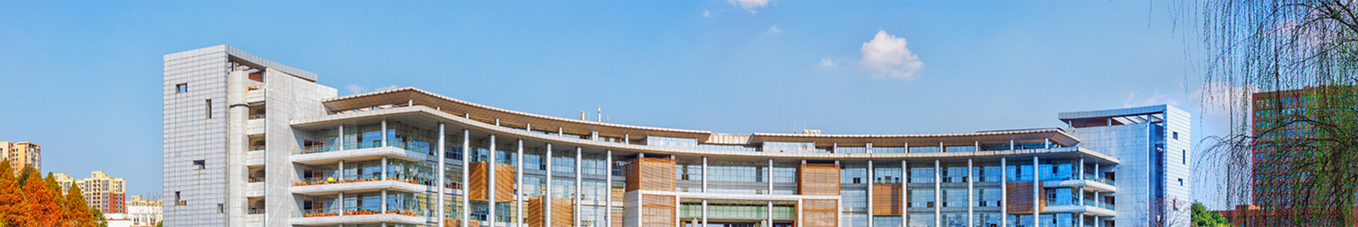 美女直播banner