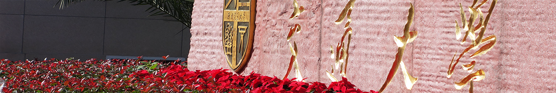 美女直播banner