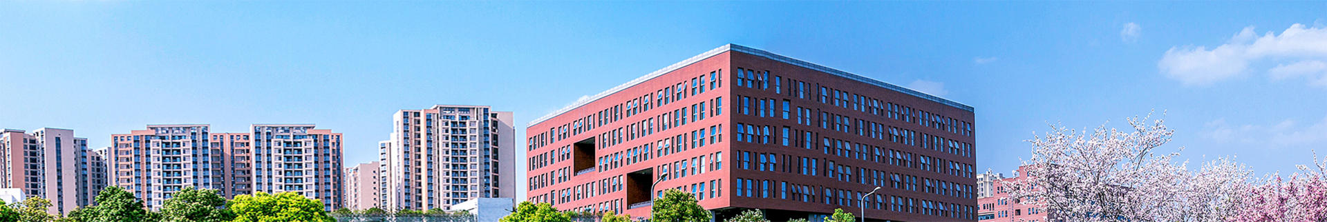 美女直播banner